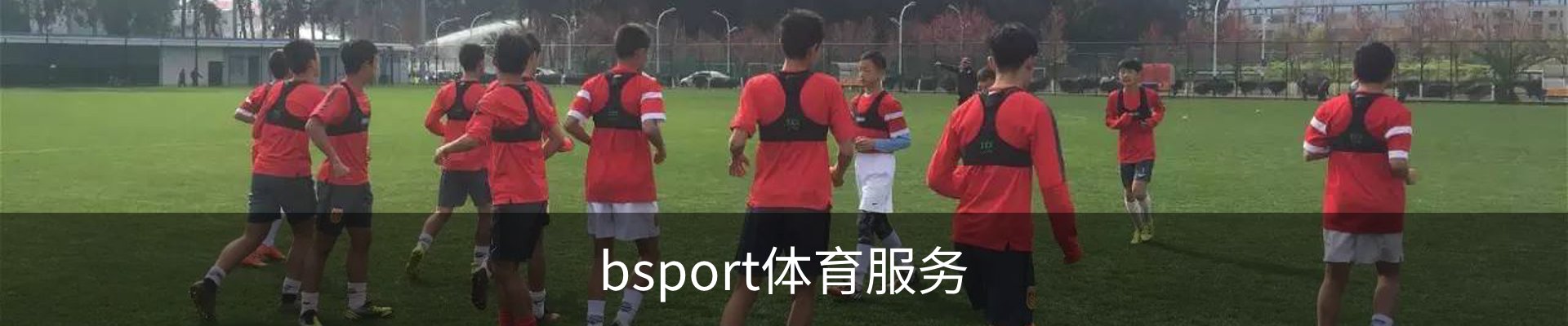 bsport体育服务
